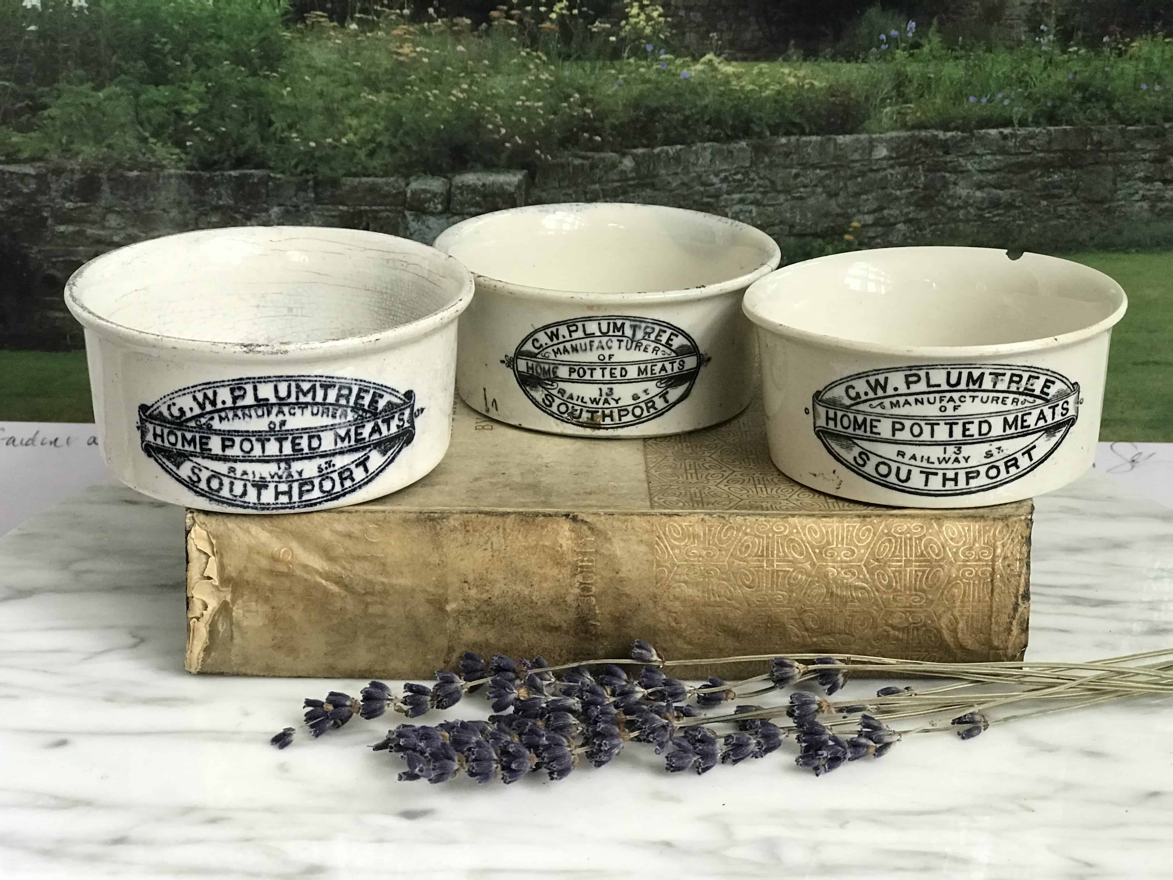 C.W. PLUMTREE ホームポテッドミート容器　アンティーク G.W. PLUMTREE HOME POTTED MEATS SOUTHPORT – { REDEEMED VINTAGE }